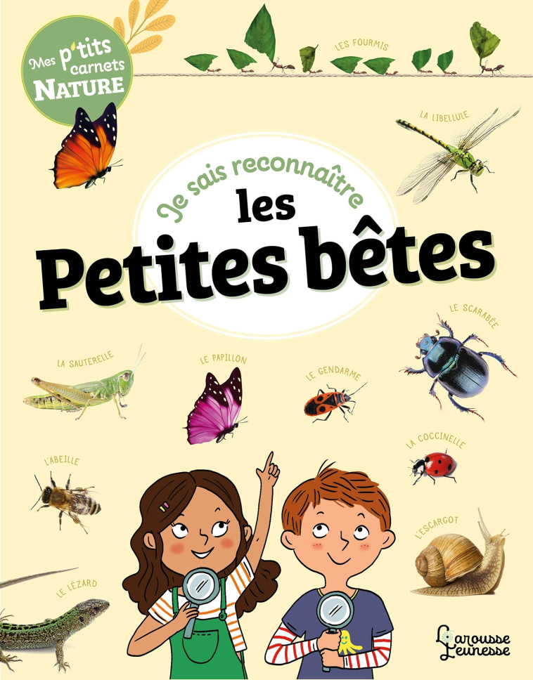 JE SAIS RECONNAITRE LES PETITES BETES - MES PTITS CARNETS NATURE - LEBRUN SANDRA - LAROUSSE