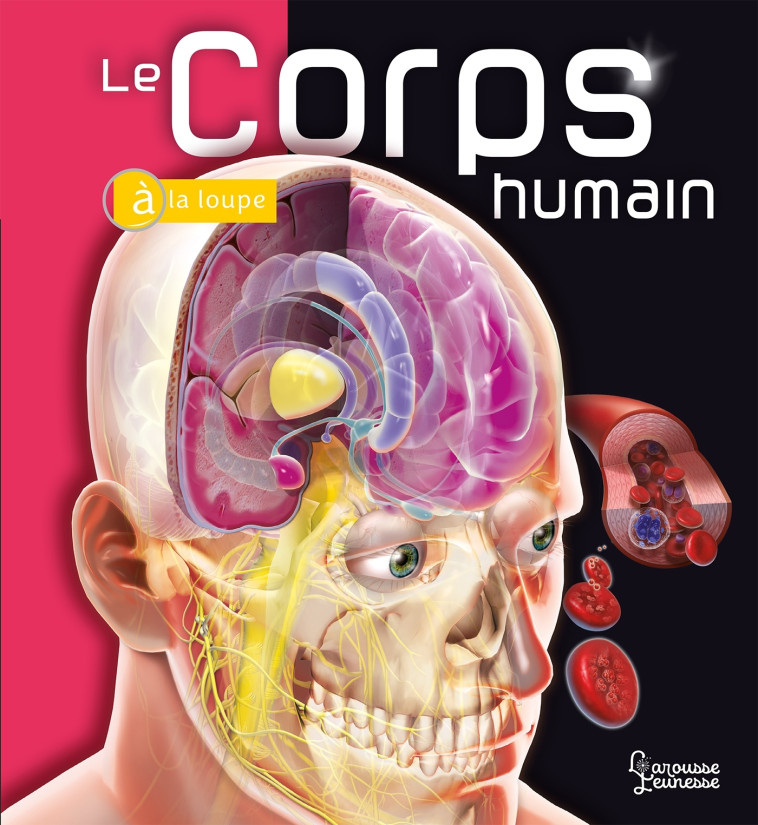 LE CORPS HUMAIN - A LA LOUPE - CALABRESI LINDA - LAROUSSE