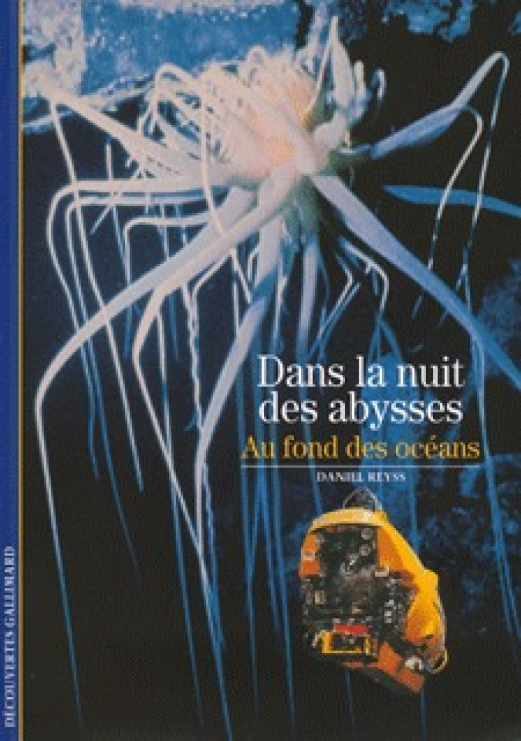 DANS LA NUIT DES ABYSSES - REYSS DANIEL - GALLIMARD