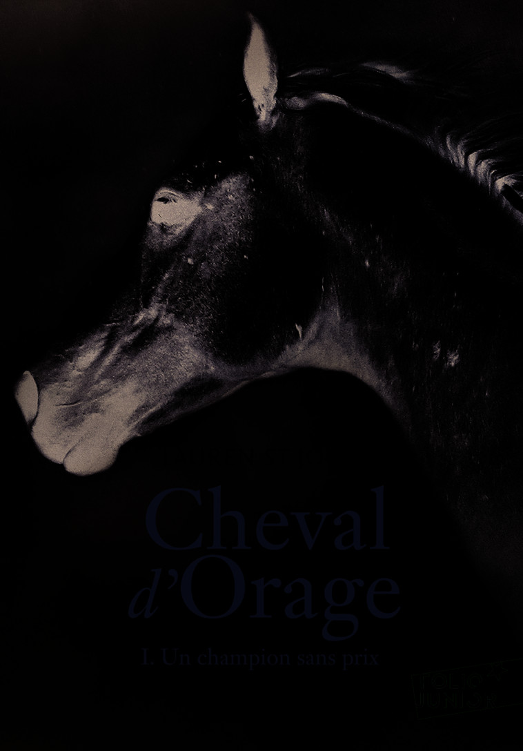 CHEVAL D'ORAGE T1 - ST JOHN LAUREN - GALLIMARD JEUNE