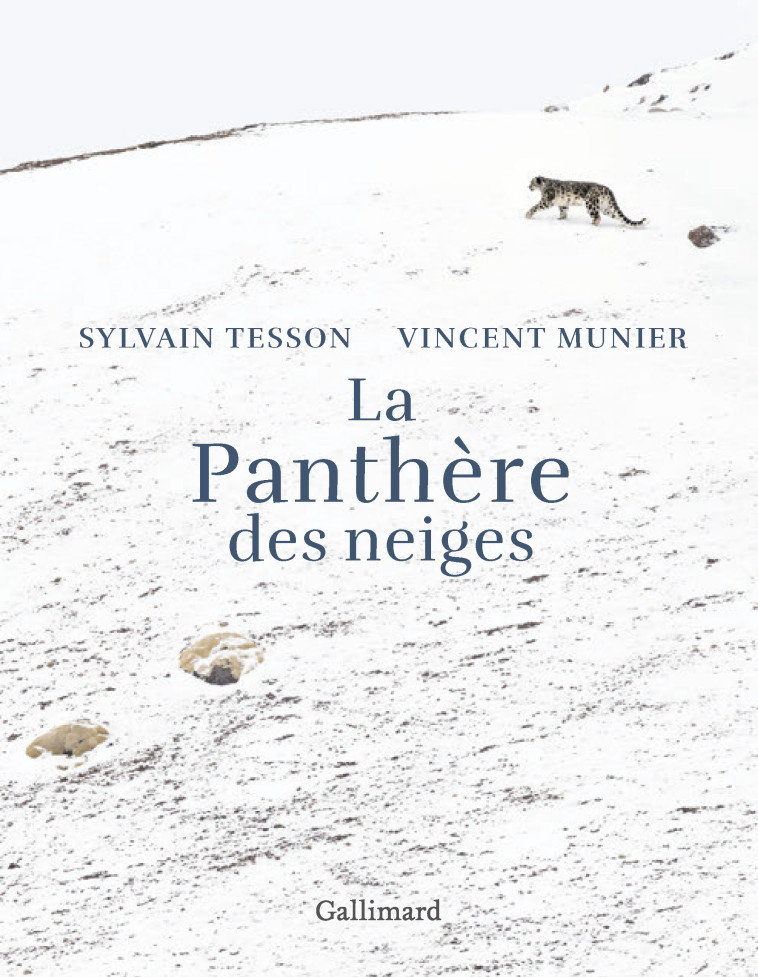 LA PANTHERE DES NEIGES - EDITION ILLUSTREE - MUNIER/TESSON - GALLIM LOISIRS