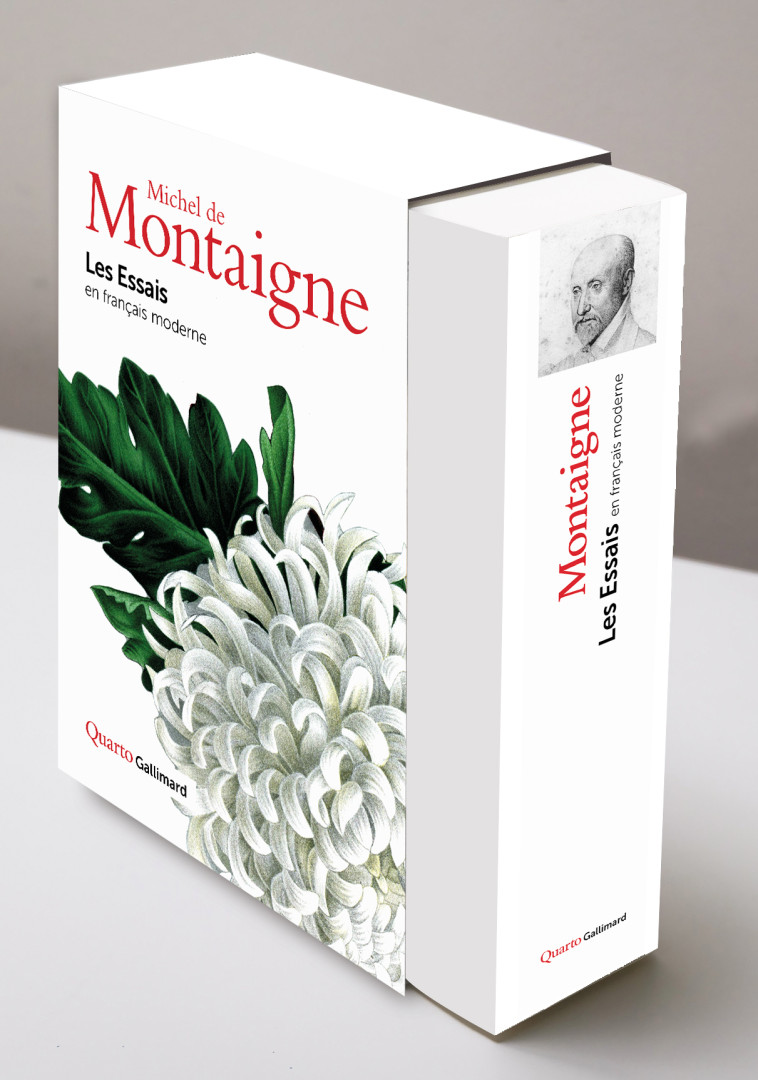 LES ESSAIS - EN FRANCAIS MODERNE - MONTAIGNE MICHEL DE - GALLIMARD