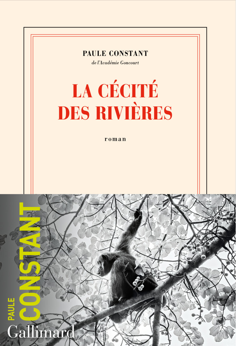 LA CECITE DES RIVIERES - PAULE CONSTANT - GALLIMARD