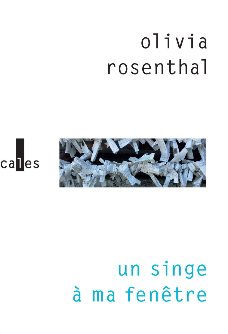 UN SINGE A MA FENETRE - OLIVIA ROSENTHAL - VERTICALES