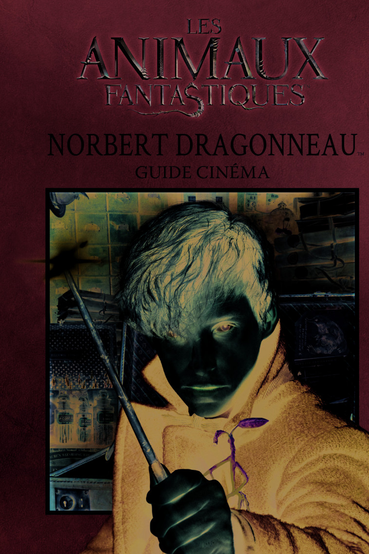 GUIDE CINEMA 7 : NORBERT DRAGONNEAU - COLLECTIF - GALLIMARD JEUNE