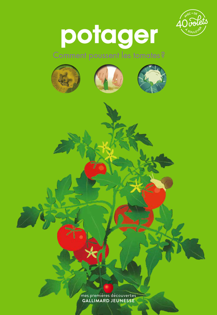 POTAGER - COMMENT POUSSENT LES TOMATES ? - LAMOUREUX/MARNAT - GALLIMARD JEUNE