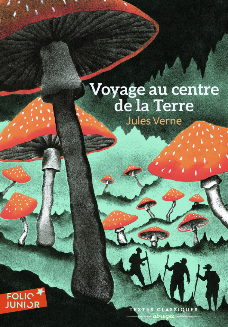 VOYAGE AU CENTRE DE LA TERRE TEXTE ABREGE - VERNE/RIOU - GALLIMARD JEUNE