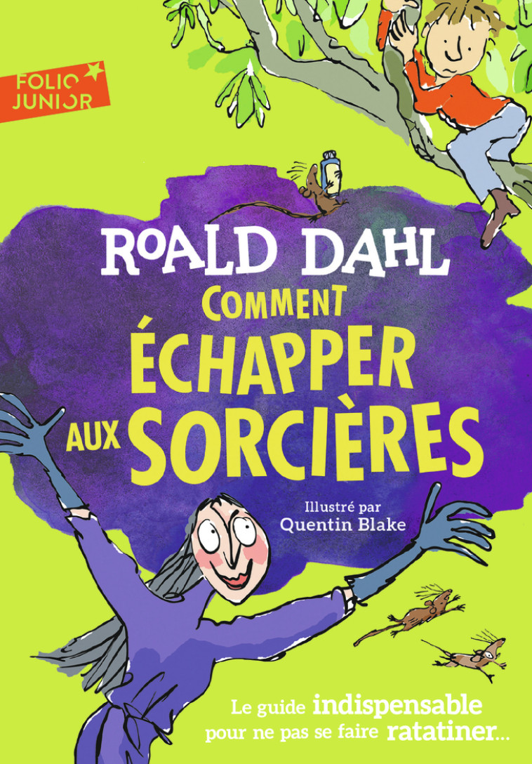 COMMENT ECHAPPER AUX SORCIERES - DAHL/BLAKE - GALLIMARD JEUNE