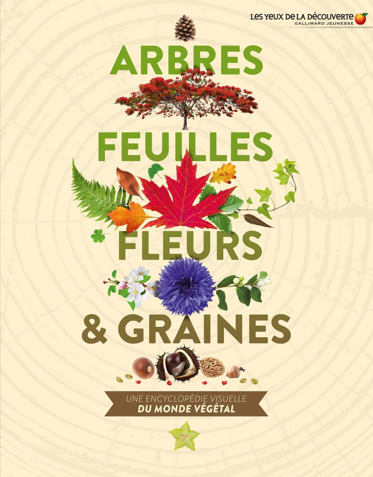 ARBRES, FEUILLES, FLEURS ET GRAINES - SARAH JOSE - GALLIMARD JEUNE