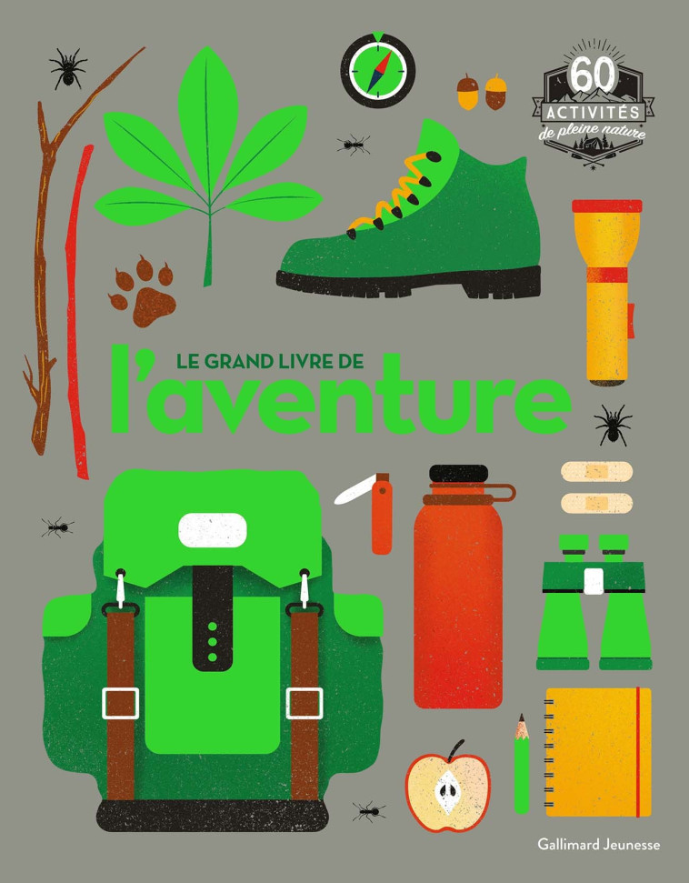 LE GRAND LIVRE DE L'AVENTURE - COLIN TOWELL - GALLIMARD JEUNE