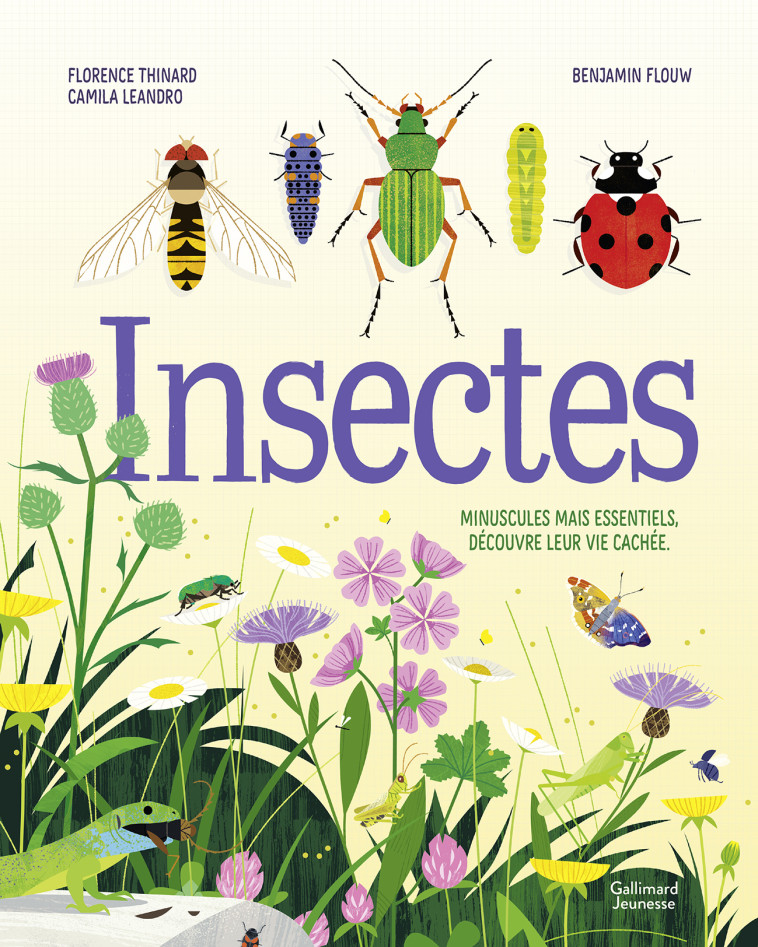 INSECTES - THINARD FLORENCE - GALLIMARD JEUNE