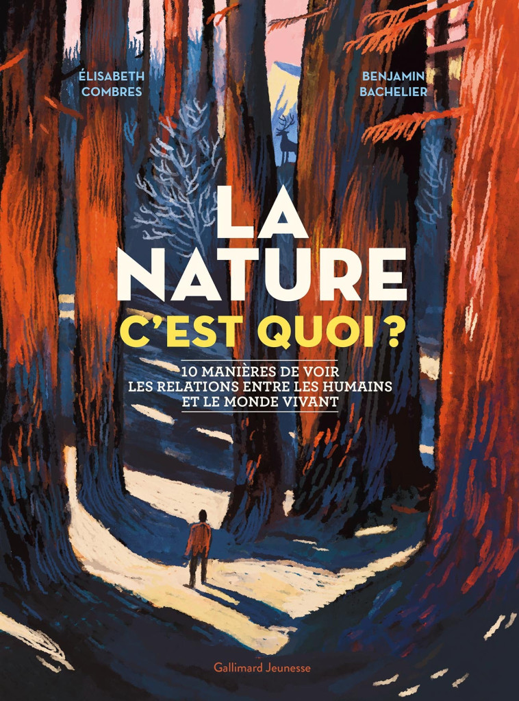 LA NATURE C'EST QUOI ? - COMBRES ELISABETH - GALLIMARD JEUNE