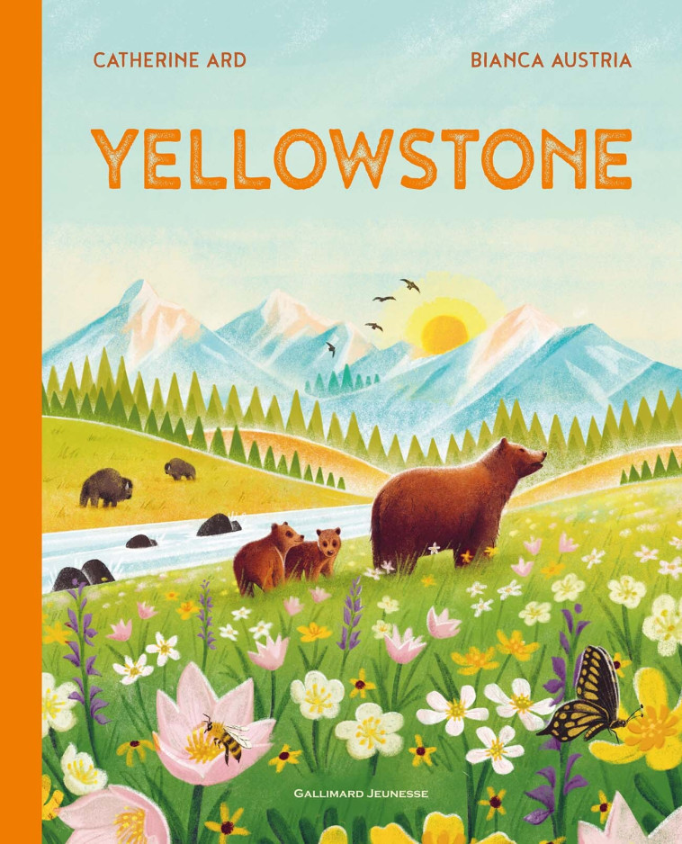 YELLOWSTONE - ARD - GALLIMARD JEUNE