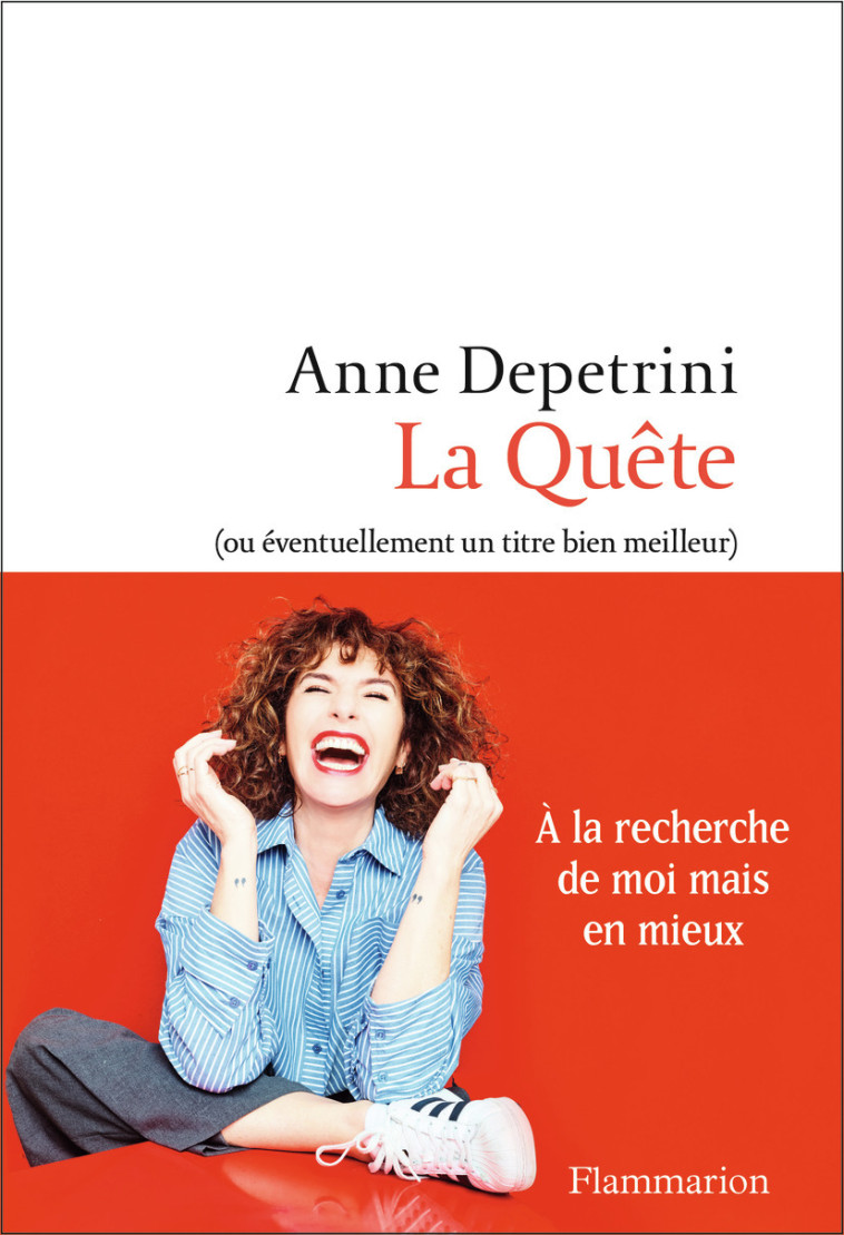 LA QUETE - (OU EVENTUELLEMENT UN TITRE BIEN MEILLEUR) - DEPETRINI ANNE - FLAMMARION