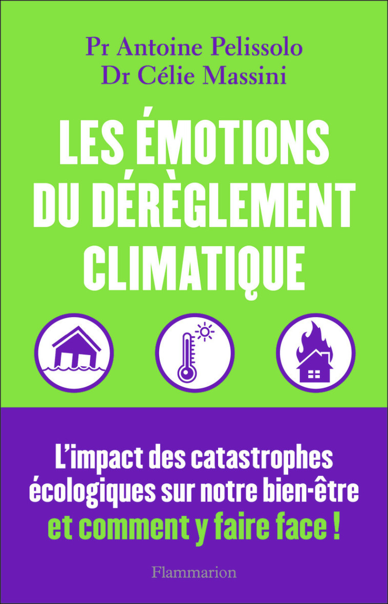 LES EMOTIONS DU DEREGLEMENT CLIMATIQUE - L' IMPACT DES CATASTROPHES ECOLOGIQUES SUR NOT - MASSINI/PELISSOLO - FLAMMARION