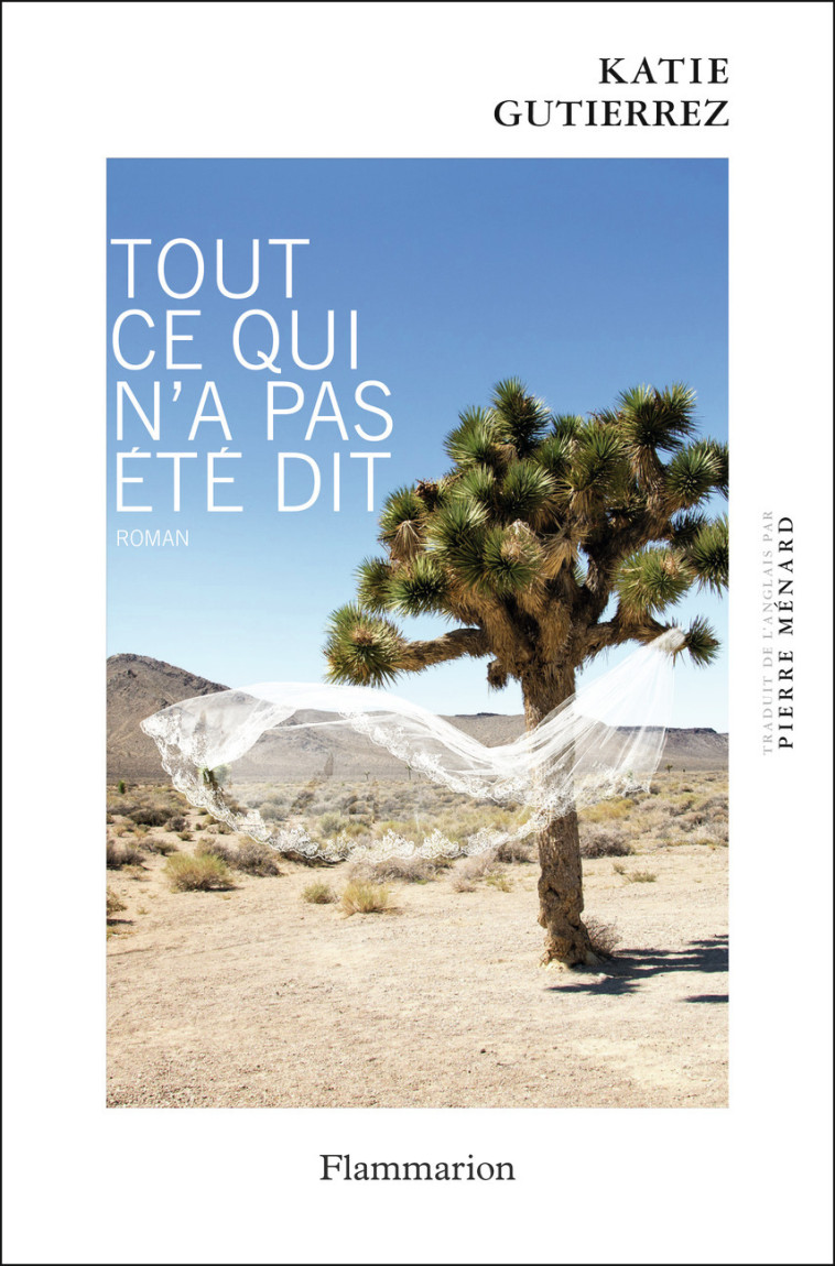 TOUT CE QUI N'A PAS ETE DIT - GUTIERREZ KATIE - FLAMMARION