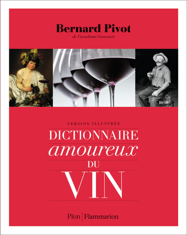 DICTIONNAIRE AMOUREUX DU VIN - PIVOT BERNARD - FLAMMARION