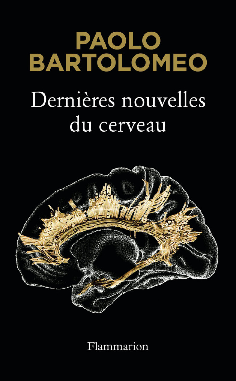 DERNIERES NOUVELLES DU CERVEAU - FRANCESCA BARTOLOMEO - FLAMMARION