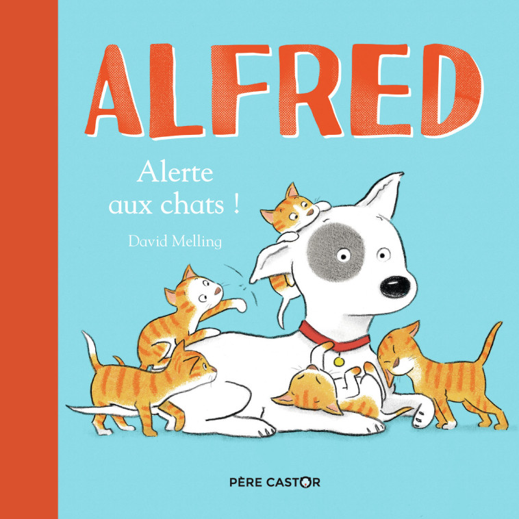 ALFRED ALERTE AUX CHATS - DAVID MELLING - PERE CASTOR