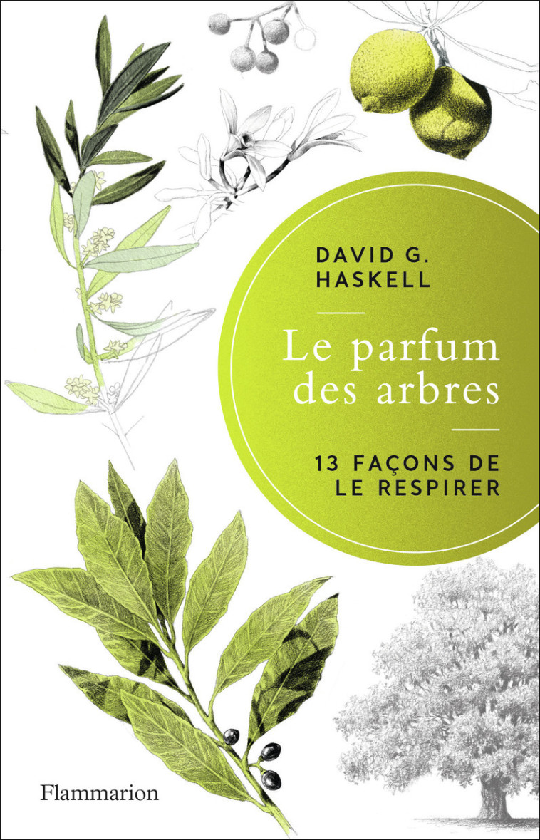 LE PARFUM DES ARBRES - 13 FACONS DE LE RESPIRER - HASKELL DAVID GEORGE - FLAMMARION