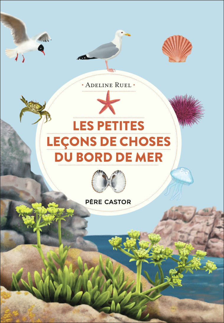 LES PETITES LECONS DE CHOSES DU BORD DE MER - RUEL ADELINE - PERE CASTOR