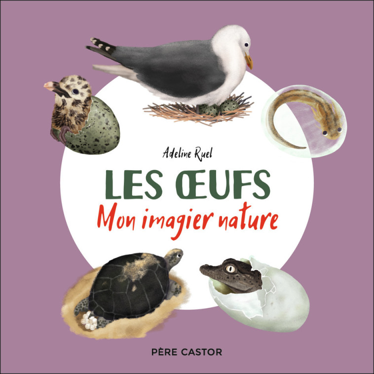 MON IMAGIER NATURE - LES OEUFS - RUEL ADELINE - PERE CASTOR