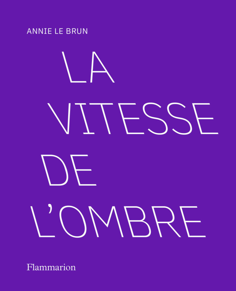 LA VITESSE DE L'OMBRE - LE BRUN ANNIE - FLAMMARION