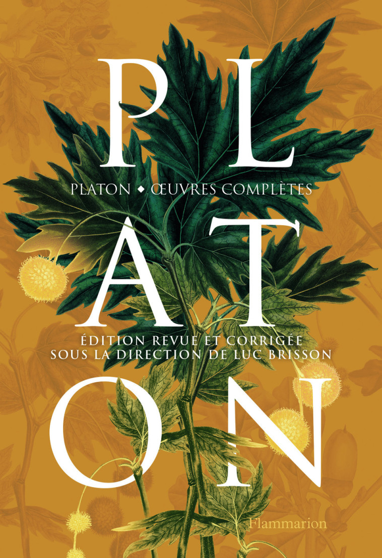 OEUVRES COMPLETES - PLATON - FLAMMARION