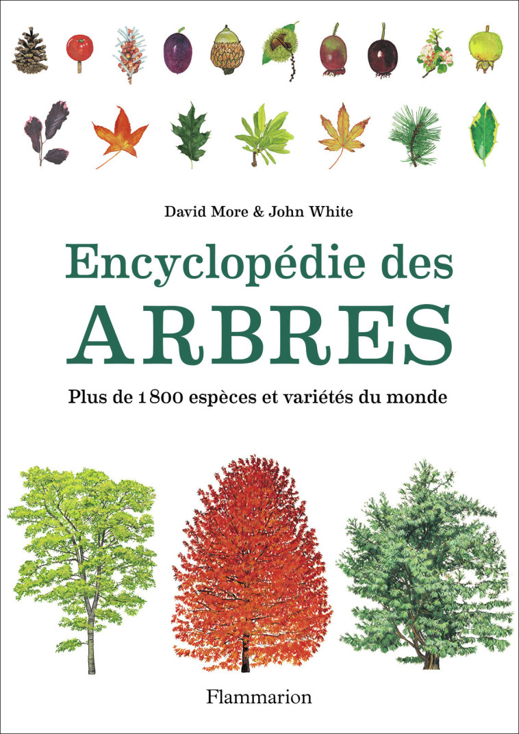 ENCYCLOPEDIE DES ARBRES (NE) - MORE/WHITE - FLAMMARION