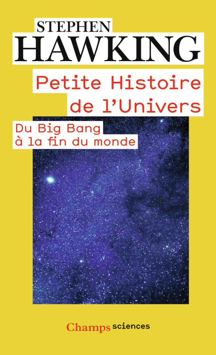 PETITE HISTOIRE DE L'UNIVERS - HAWKING STEPHEN - FLAMMARION