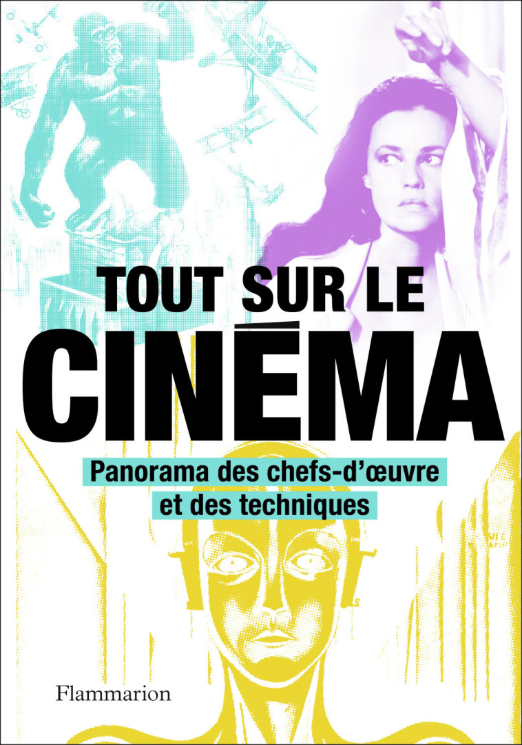 TOUT SUR LE CINEMA - PANORAMA DES CHEFS-D'O EUVRE ET DES TECHNIQUES - COLLECTIF - FLAMMARION