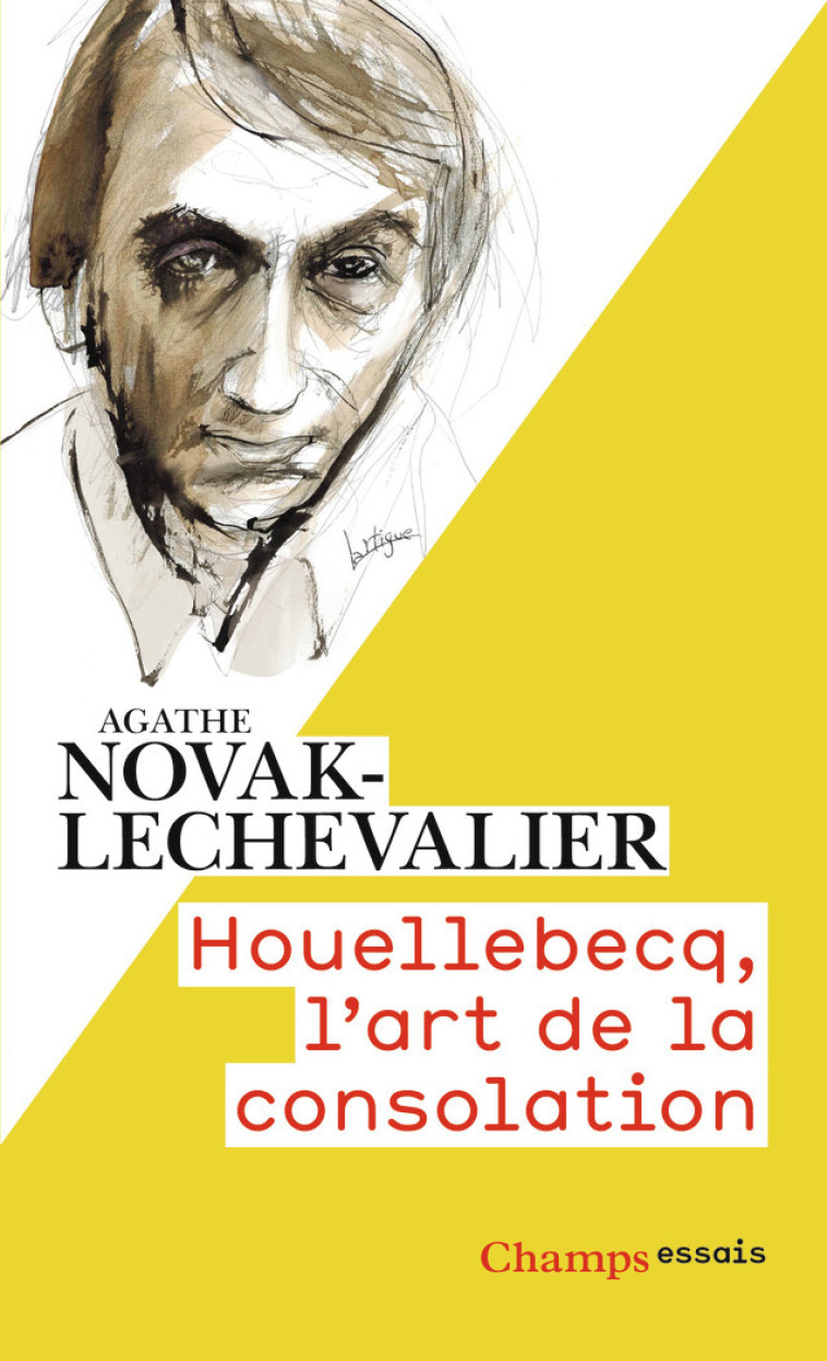 HOUELLEBECQ, L'ART DE LA CONSOLATION - NOVAK-LECHEVALIER A. - FLAMMARION