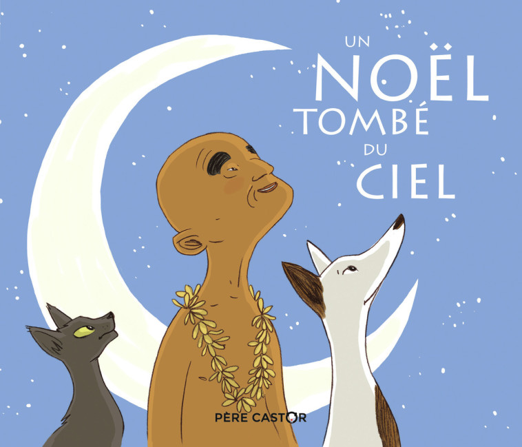 UN NOEL TOMBE DU CIEL - BERTRON-MARTIN - PERE CASTOR