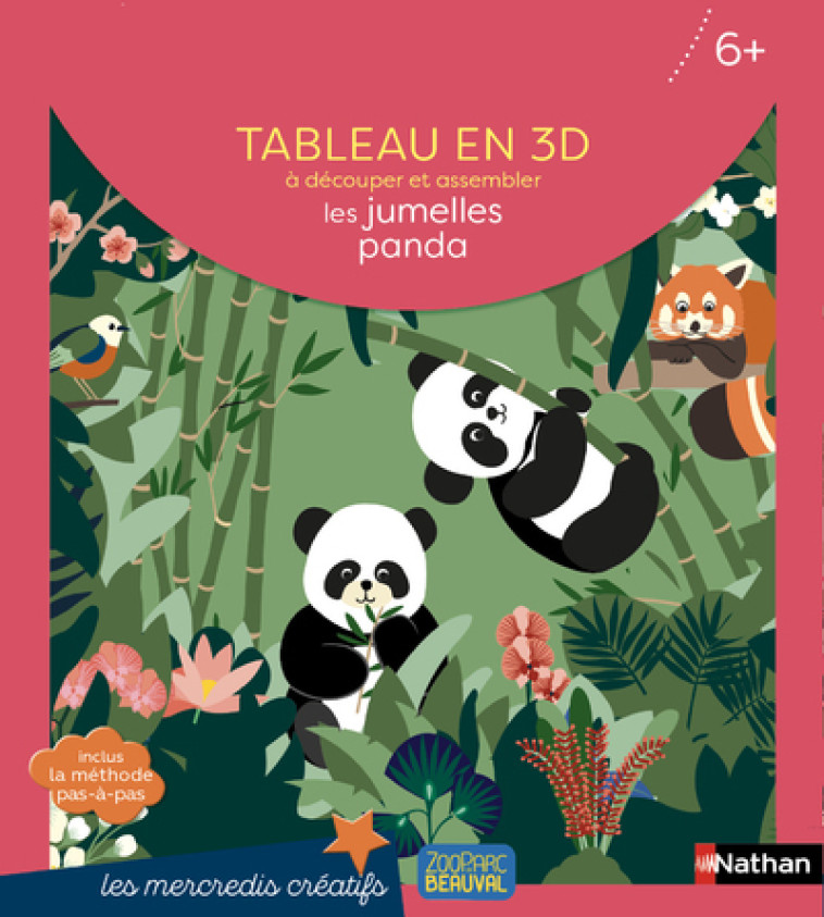 POCHETTE TABLEAU EN 3D : LES JUMELLES PANDA - BOURGON MATHILDE - NATHAN