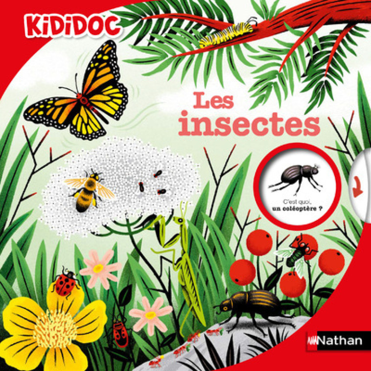 LES INSECTES - ZURCHER/HURTREZ - NATHAN