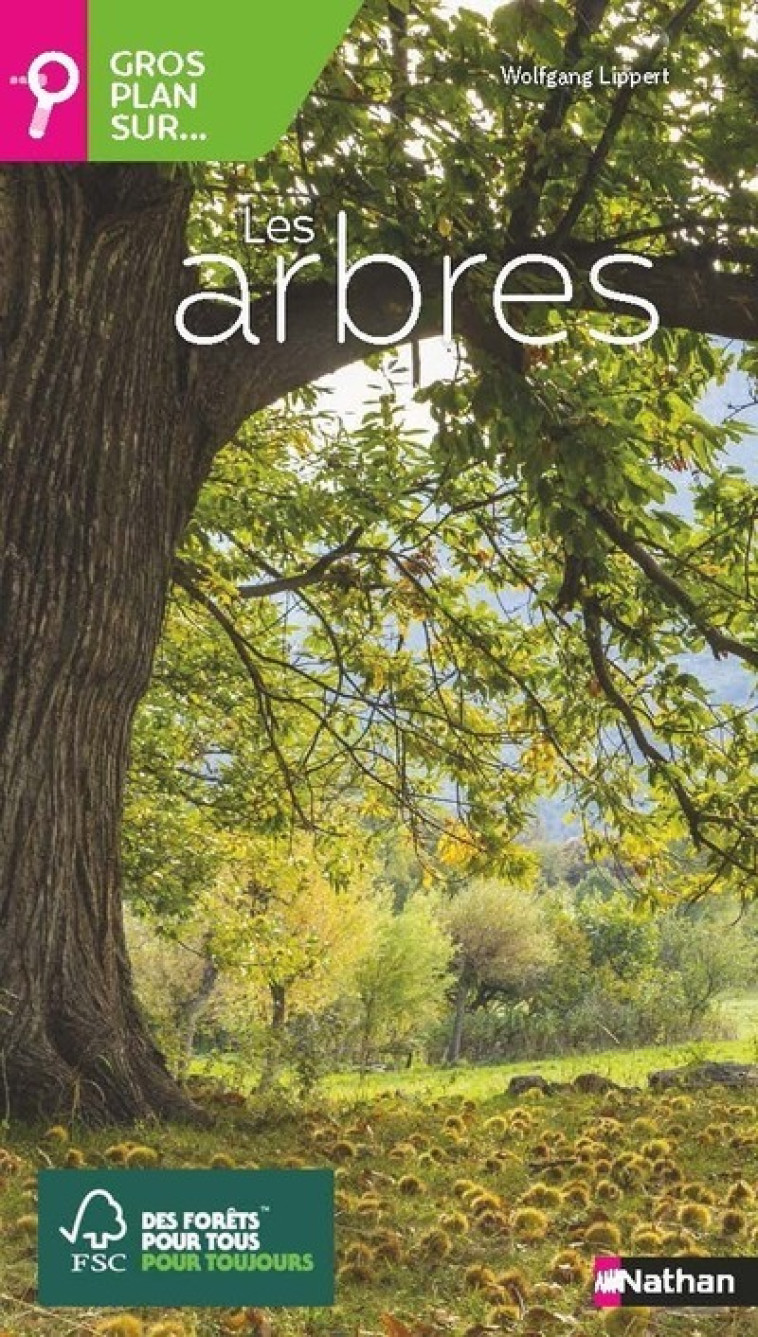 GROS PLAN SUR... LES ARBRES - LIPPERT WOLFGANG - NATHAN