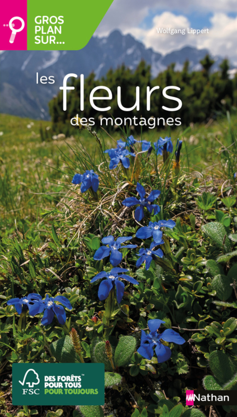 GROS PLAN SUR LES FLEURS DE MONTAGNE - LIPPERT WOLFGANG - NATHAN