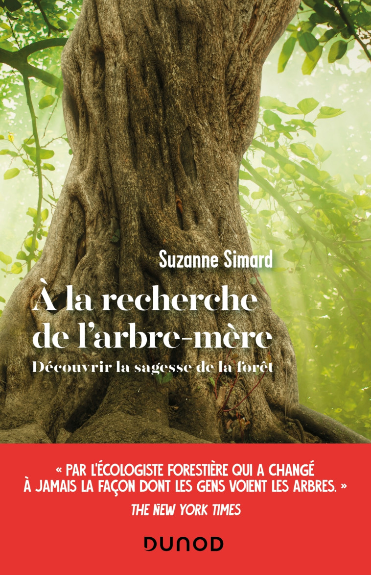 A LA RECHERCHE DE L'ARBRE-MERE - DECOUVRIR LA SAGESSE DE LA FORET - SIMARD SUZANNE - DUNOD