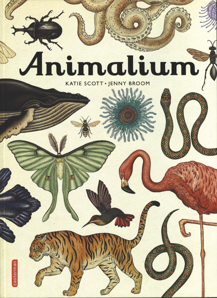 ANIMALIUM - BROOM/SCOTT/BRUN-NEY - CASTERMAN