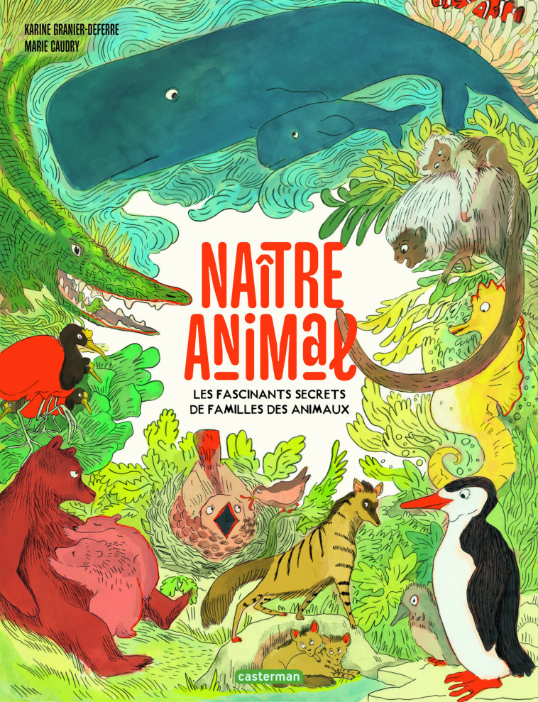 NAITRE ANIMAL - LES FASCINANTS SECRETS DE FAMILLES DES ANIMAUX - KARINE GRANIER-DEFER - CASTERMAN