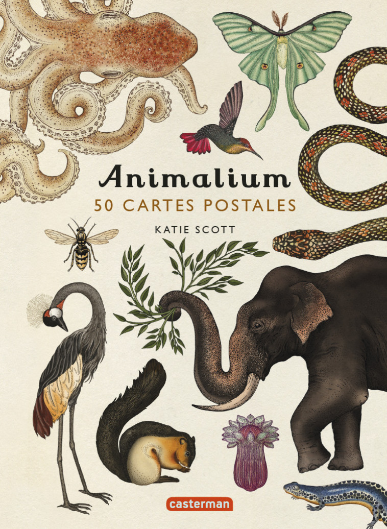 ANIMALIUM - 50 CARTES POSTALES - SCOTT KATIE - CASTERMAN