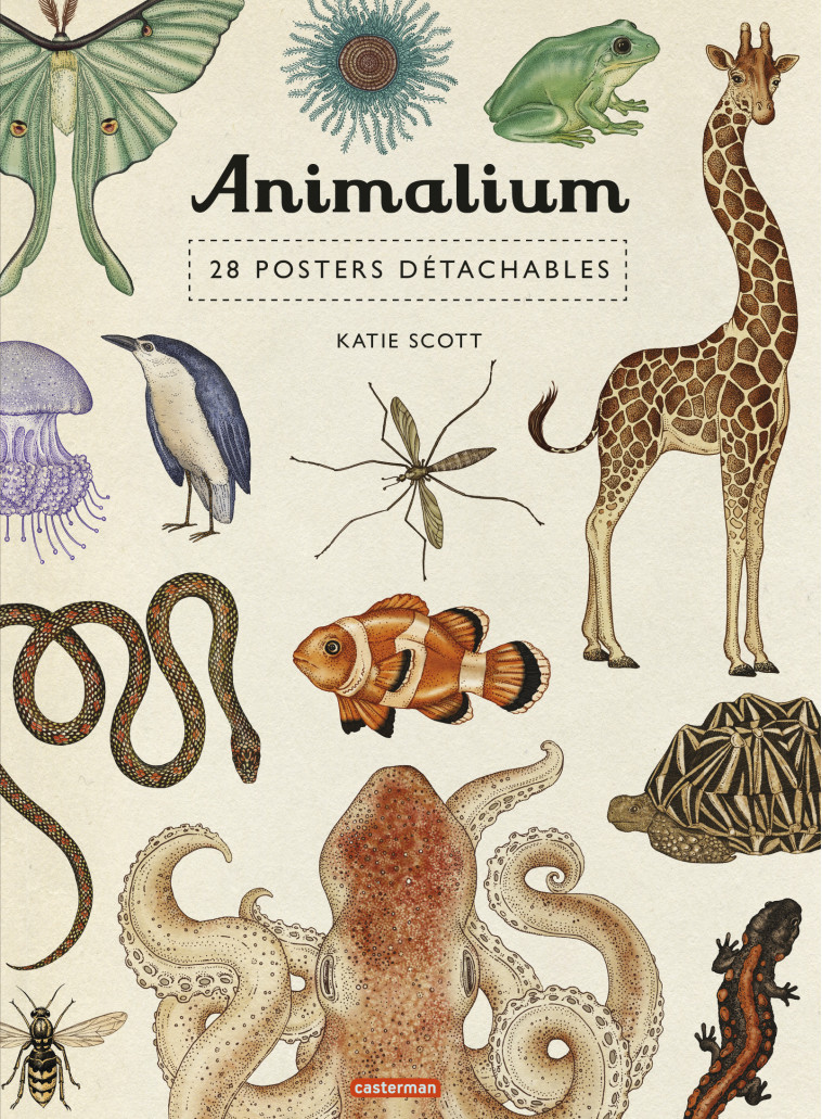 ANIMALIUM - 28 POSTERS DETACHABLES - SCOTT KATIE - CASTERMAN