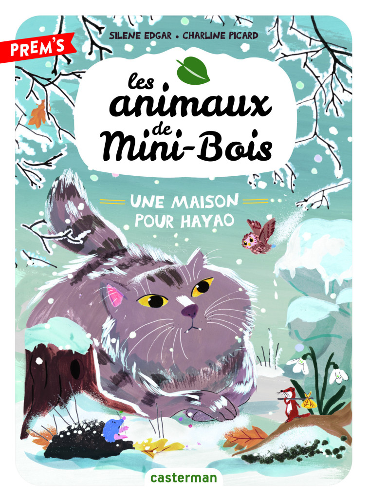 LES ANIMAUX DE MINI-BOIS T05 UNE MAISON POUR HAYAO - EDGAR SILENE - CASTERMAN