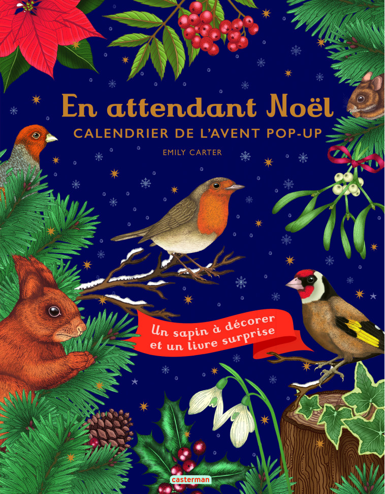 EN ATTENDANT NOEL - CALENDRIER DE L'AVENT POP UP - CARTER EMILY - CASTERMAN