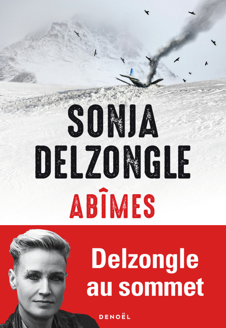 DANS LE SILENCE DE LA NEIGE - SONJA DELZONGLE - DENOEL