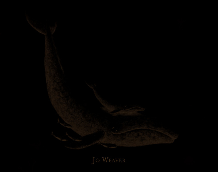 PETITE BALEINE - WEAVER JO - EDL