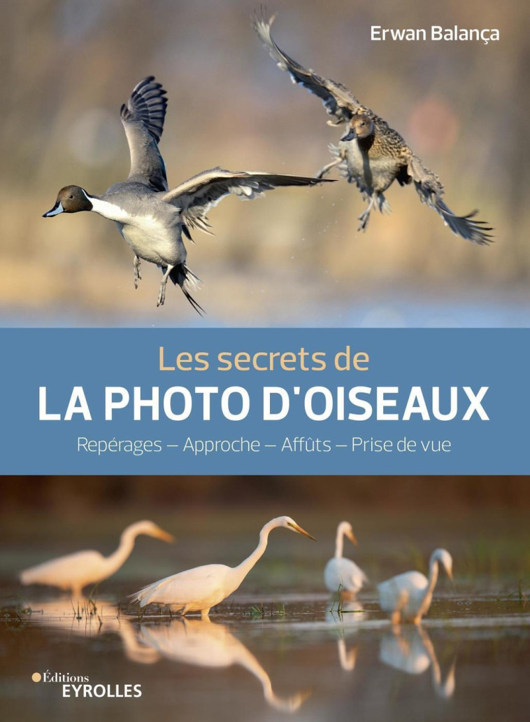 LES SECRETS DE LA PHOTO D'OISEAUX - REPERAG ES - APPROCHE - AFFUTS - PRISE DE VUE - BALANCA ERWAN - EYROLLES