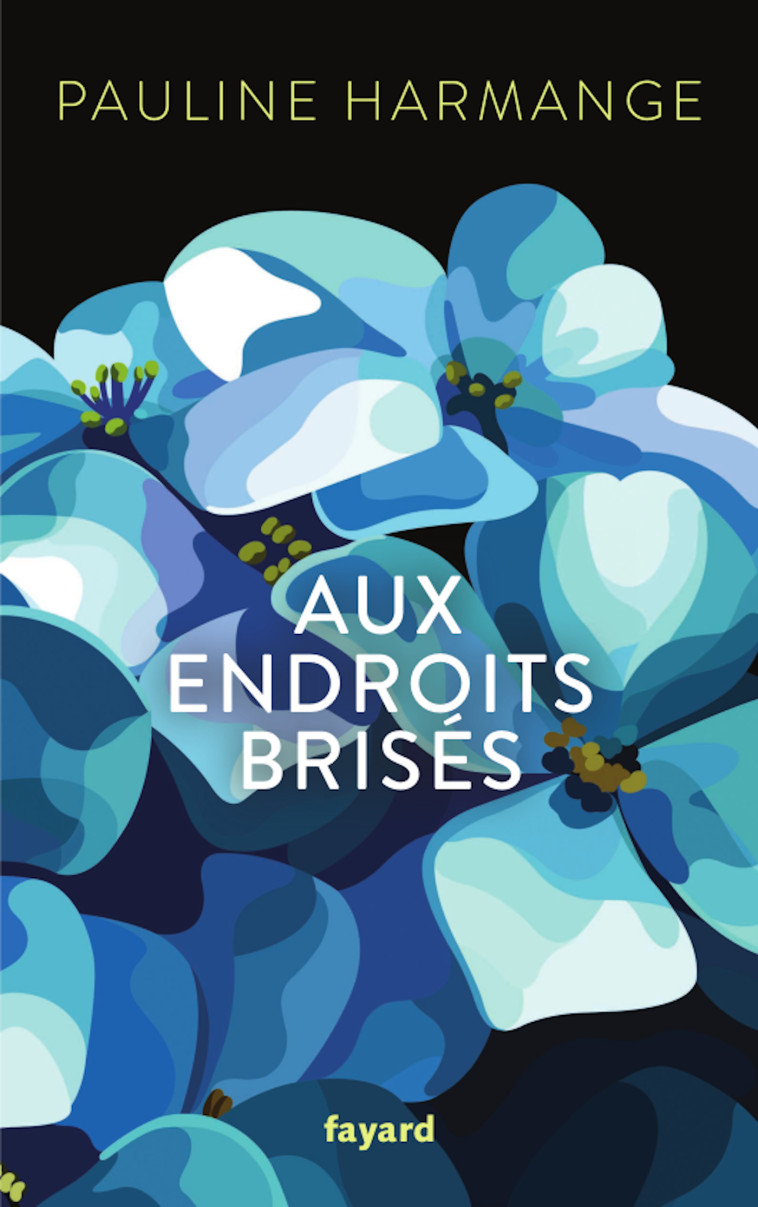 AUX ENDROITS BRISES - HARMANGE PAULINE - FAYARD