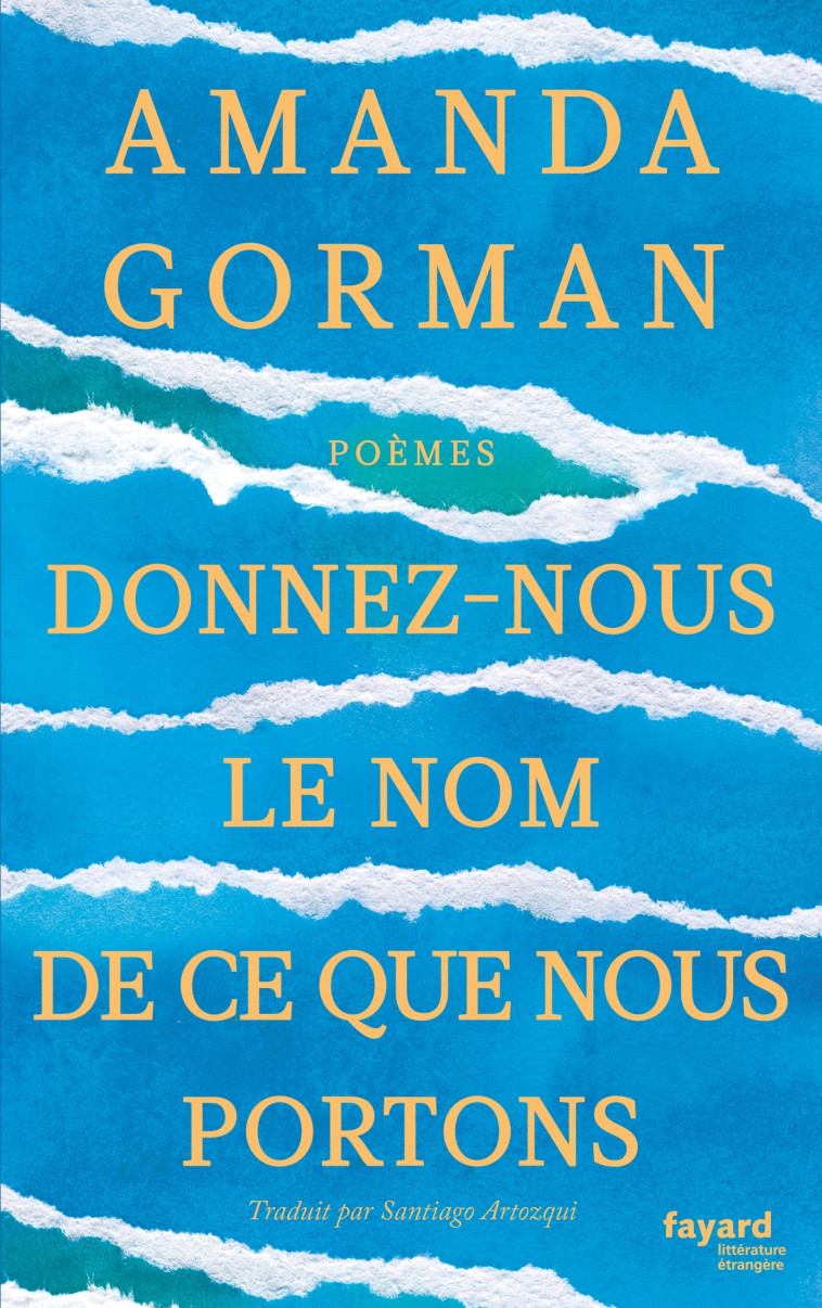 DONNEZ-NOUS LE NOM DE CE QUE NOUS PORTONS - GORMAN AMANDA - FAYARD