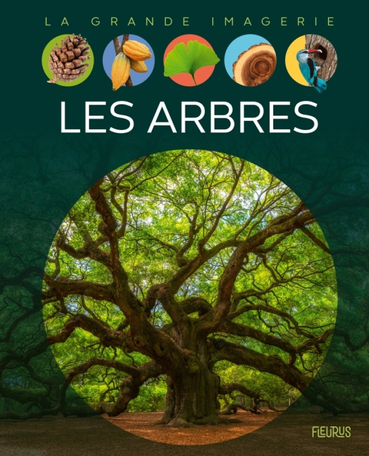 LES ARBRES - XXX - FLEURUS